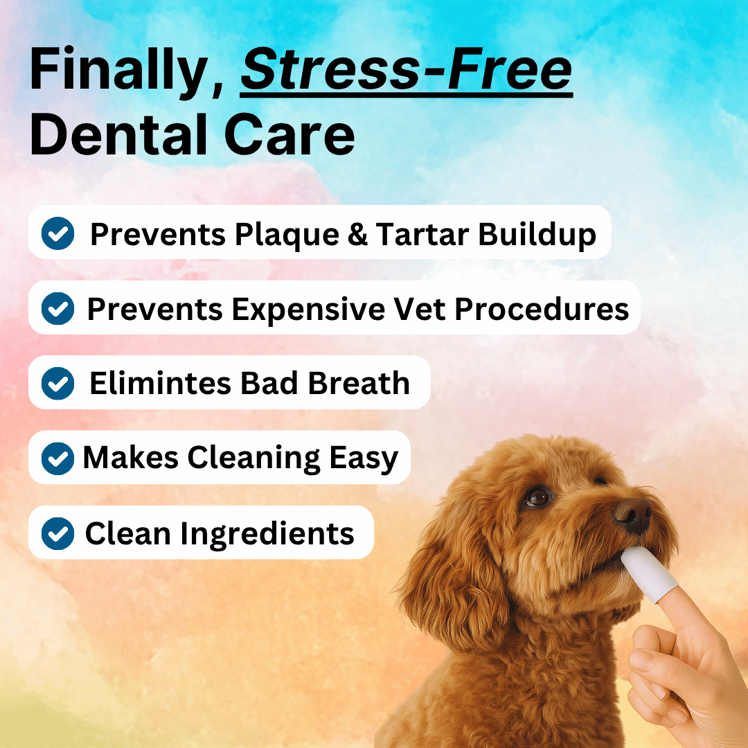 Toothbrush Replacement Dental Wipes - 50pcs