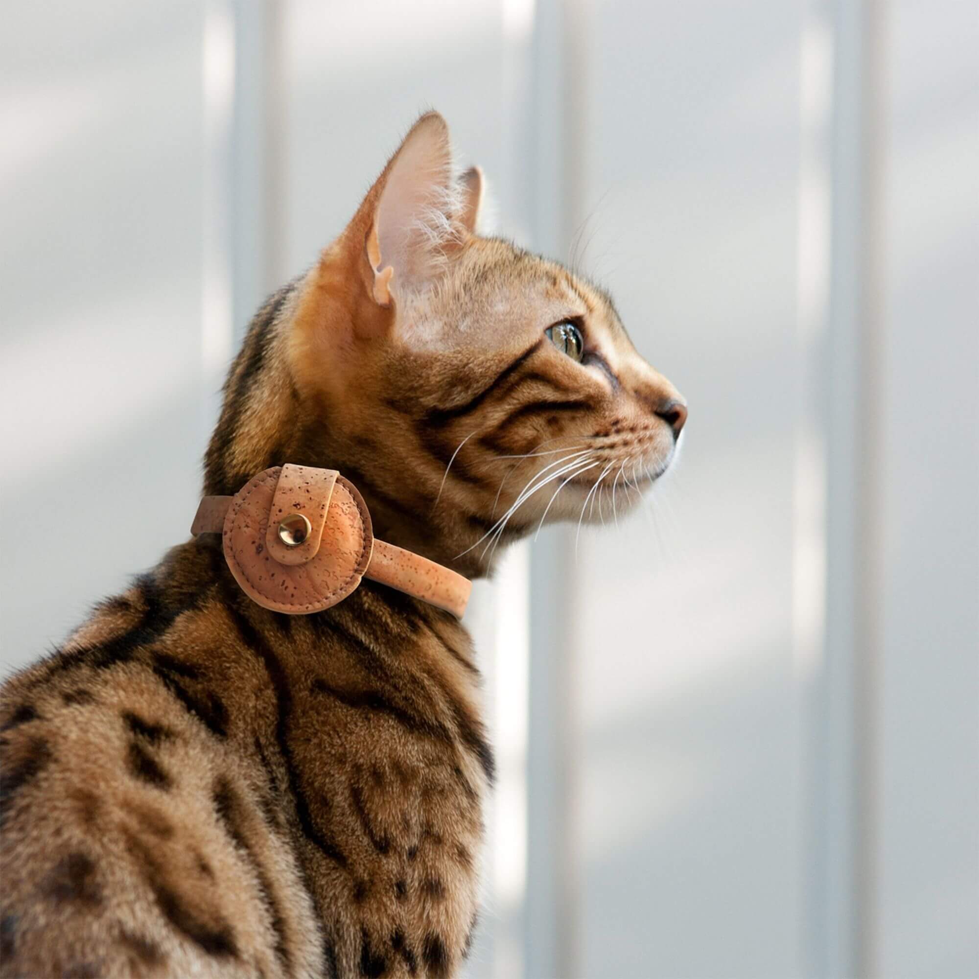AirTag Holder for Cats