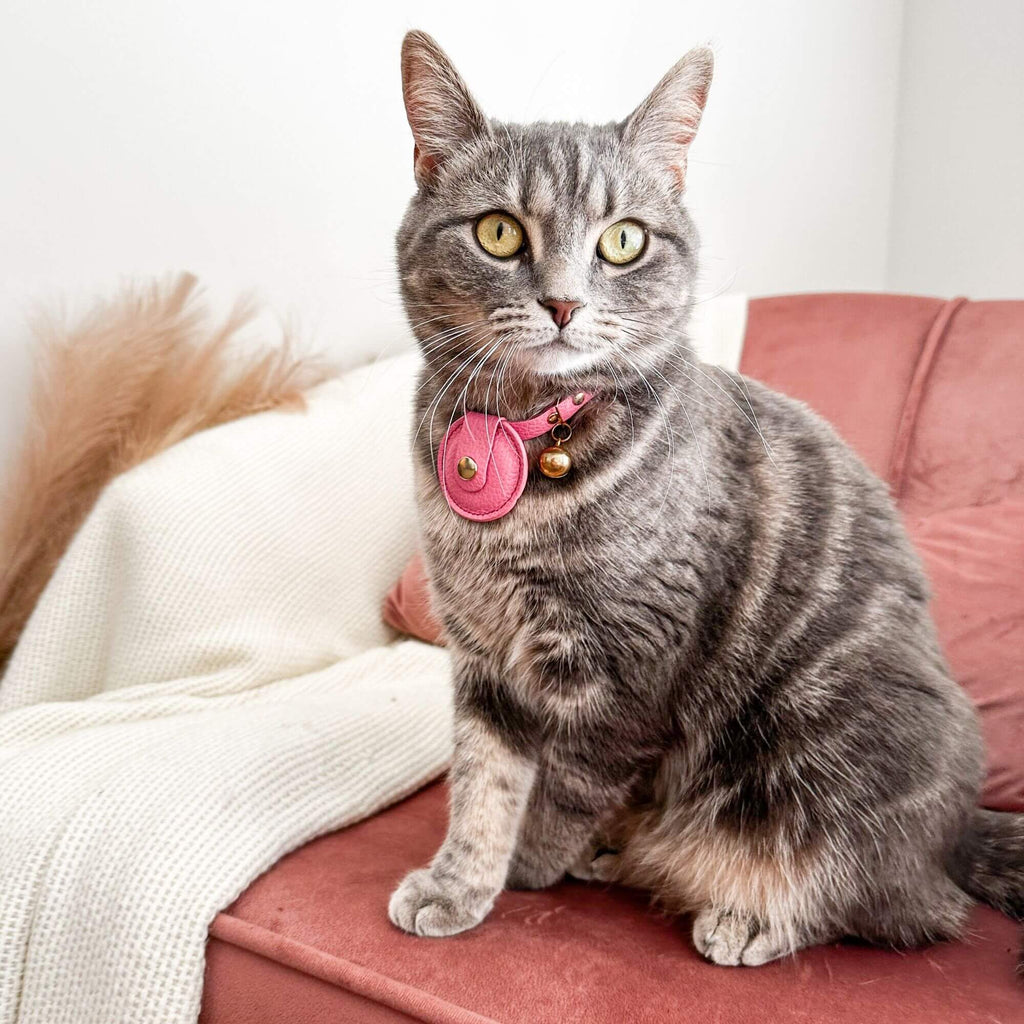 AirTag Holder for Cats