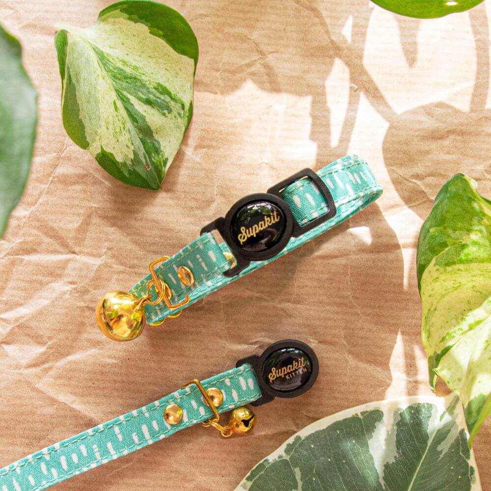 Breakaway Cat Collar