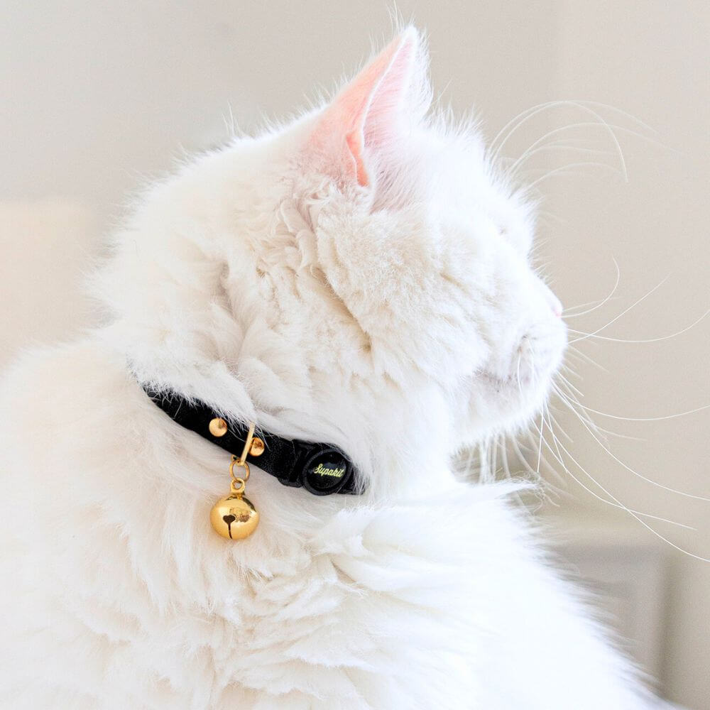 Breakaway Cat Collar