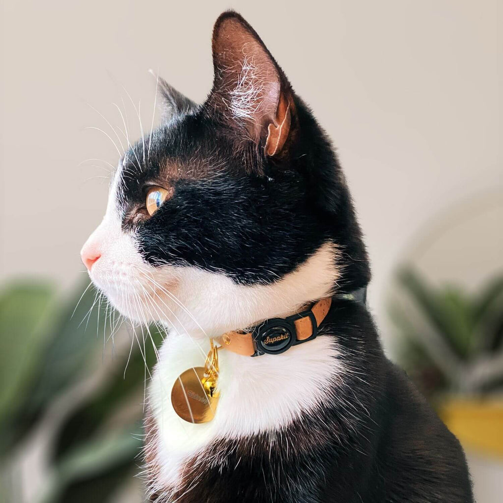 Cat ID Tag - Custom Engraved