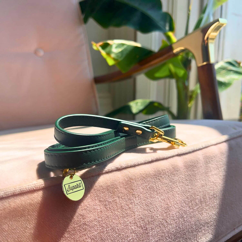 Cat Leash