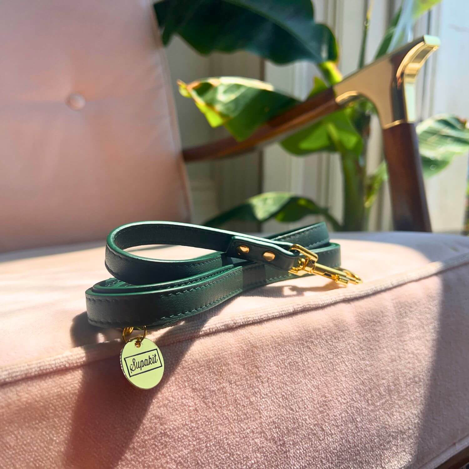 Cat Leash