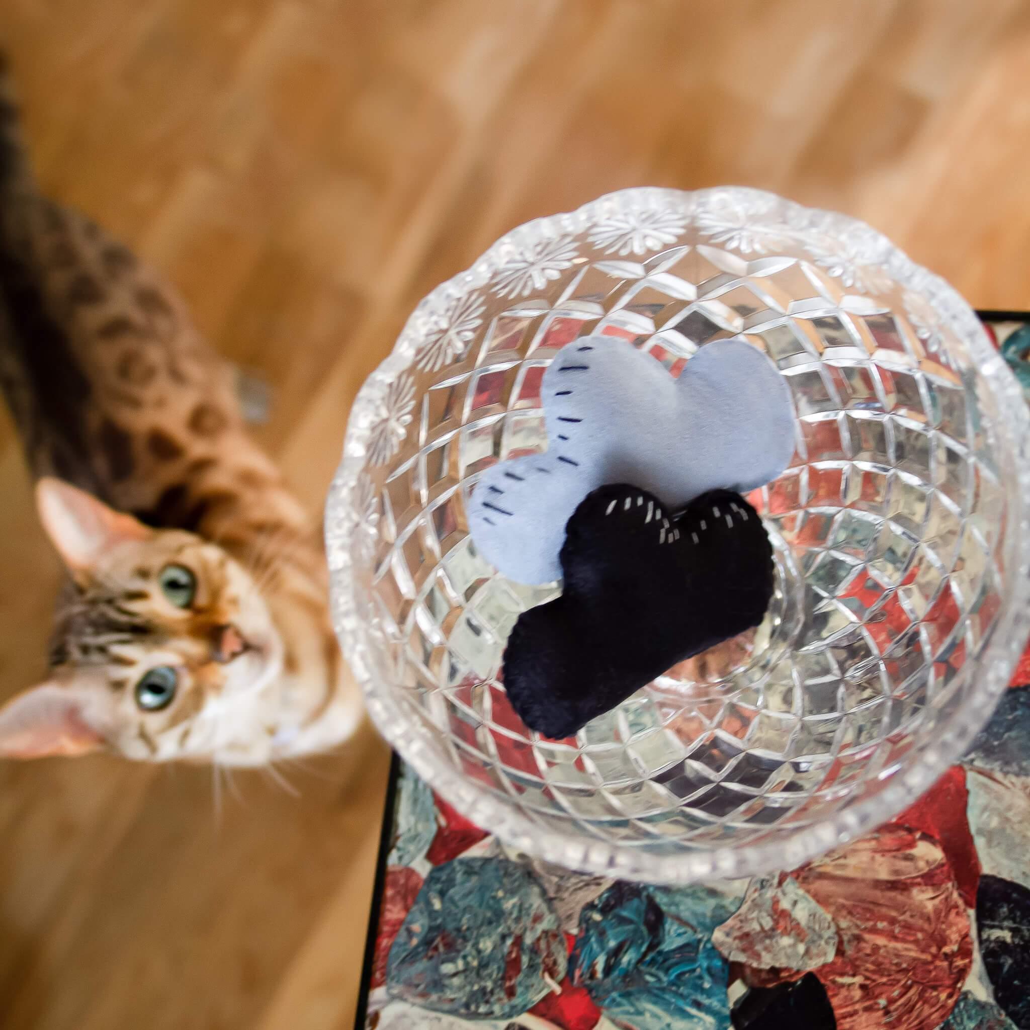 Make Your Own Cat Toys Kit