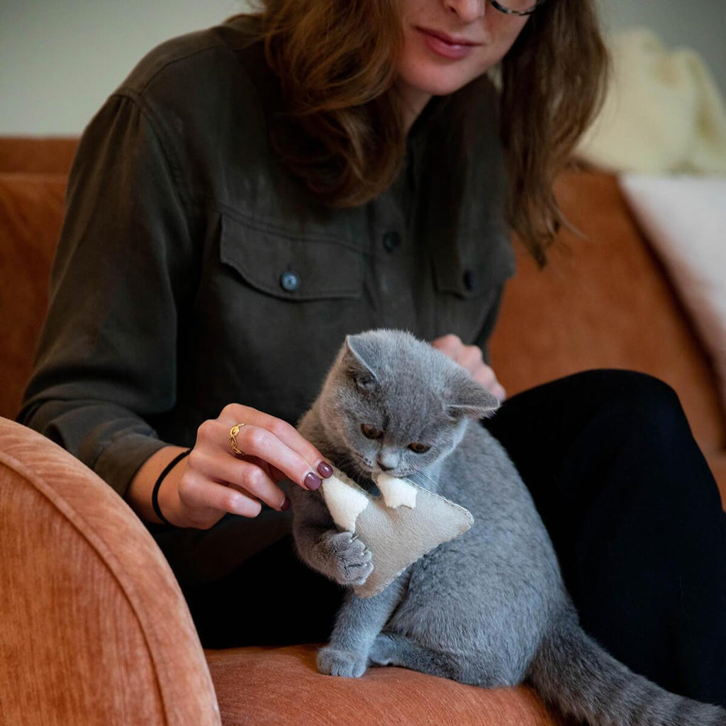 Make Your Own Cat Toys Kit