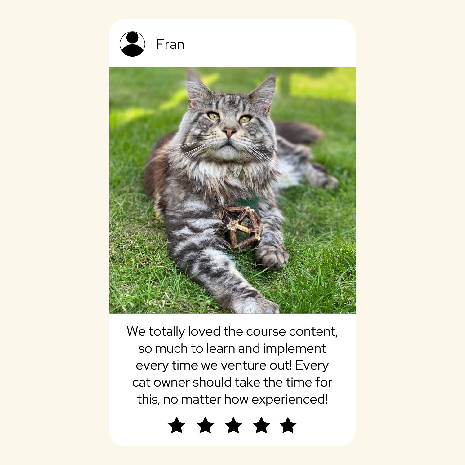 The Complete Cat Harness Training Course