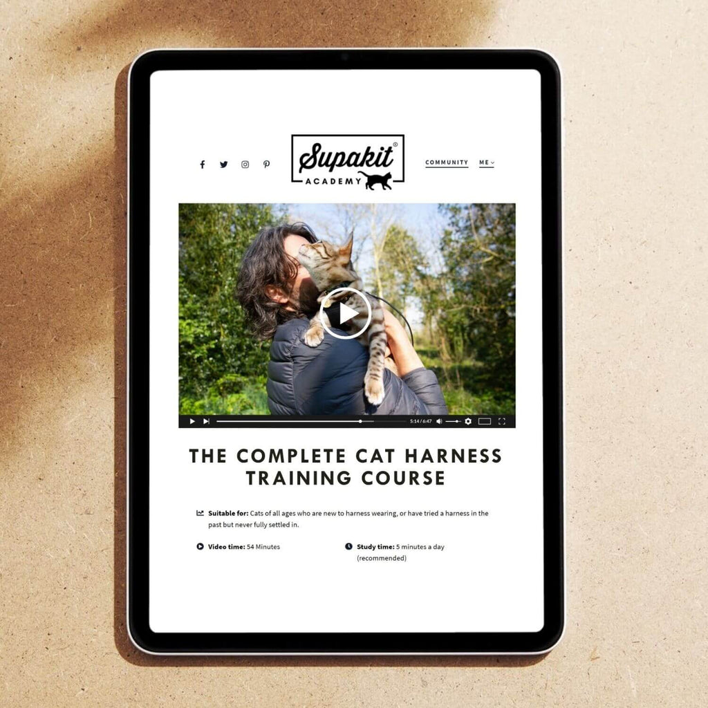 The Complete Cat Harness Training Course