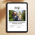The Complete Cat Harness Training Course