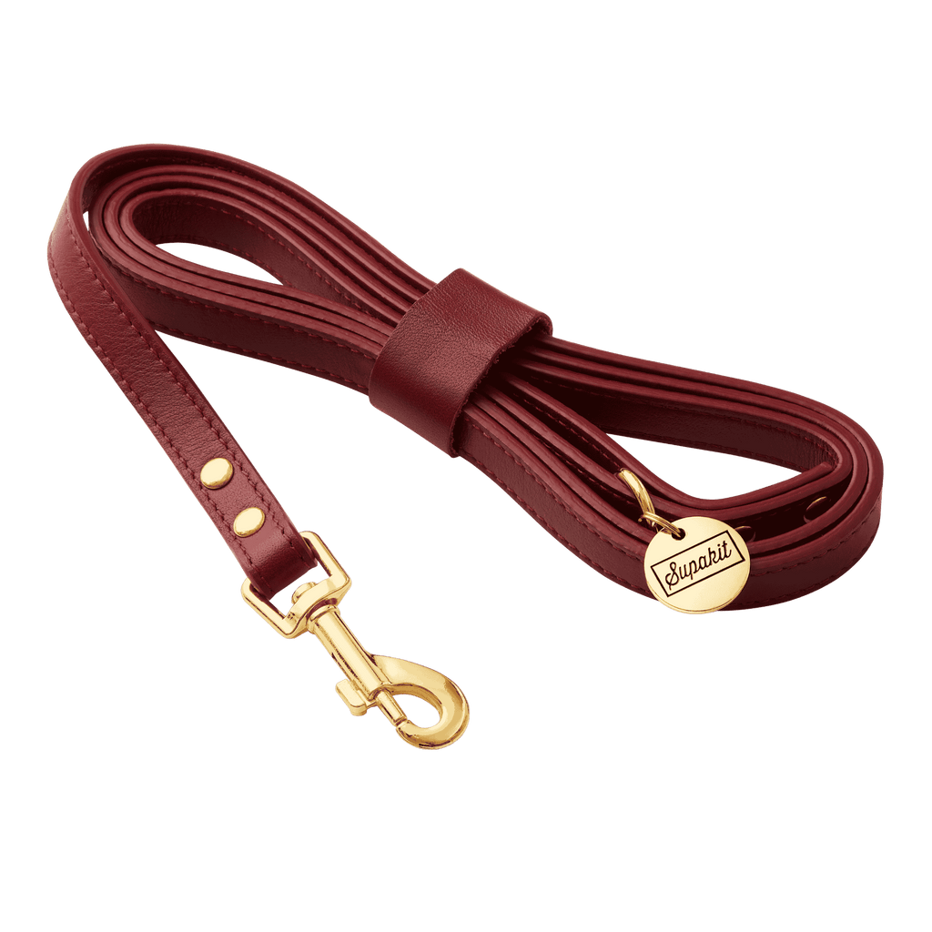 Cat Leash