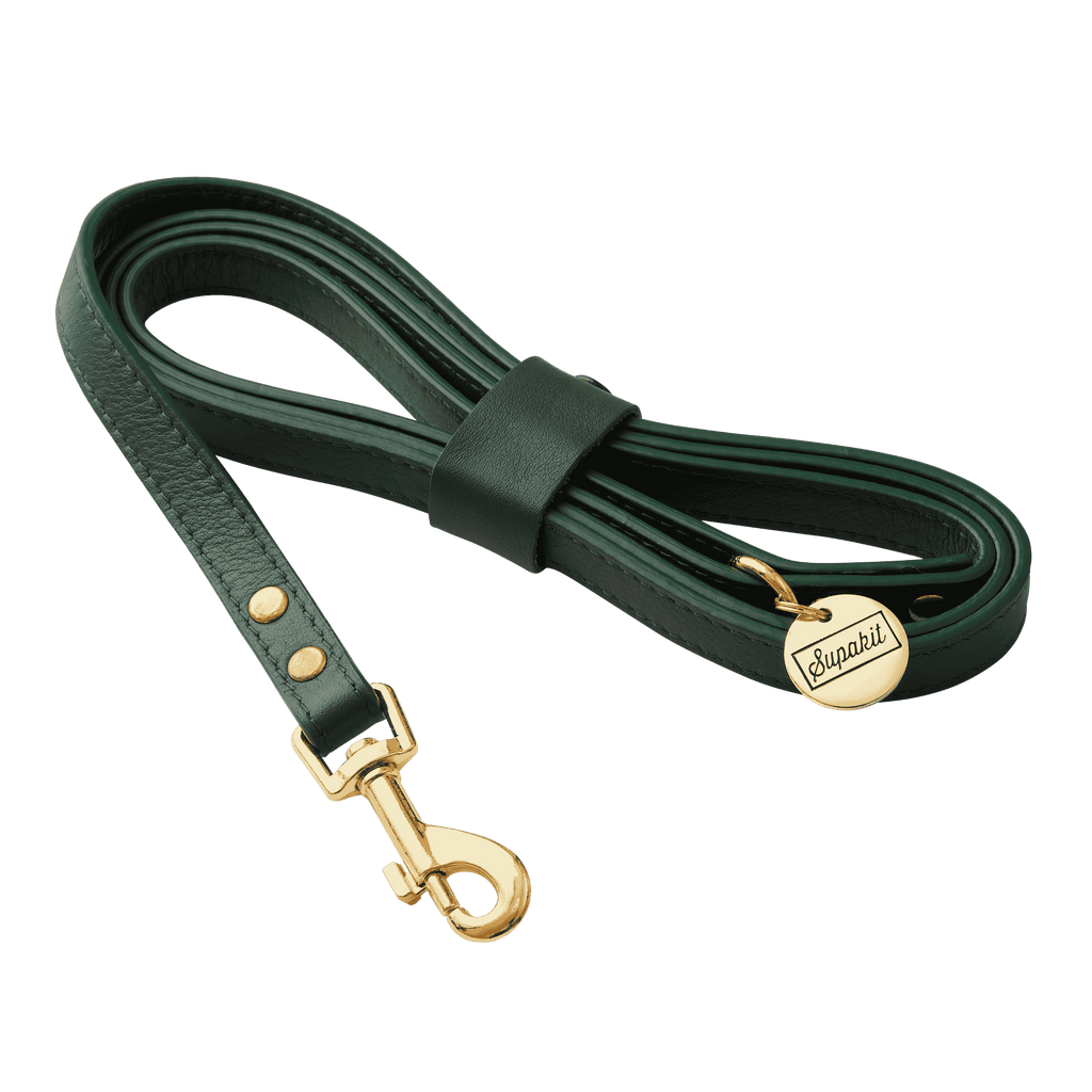 Cat Leash