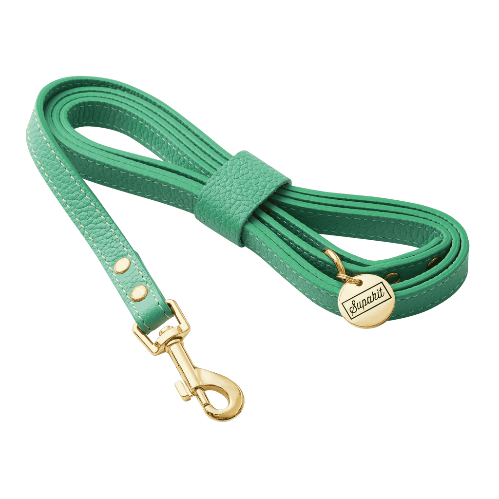 Cat Leash