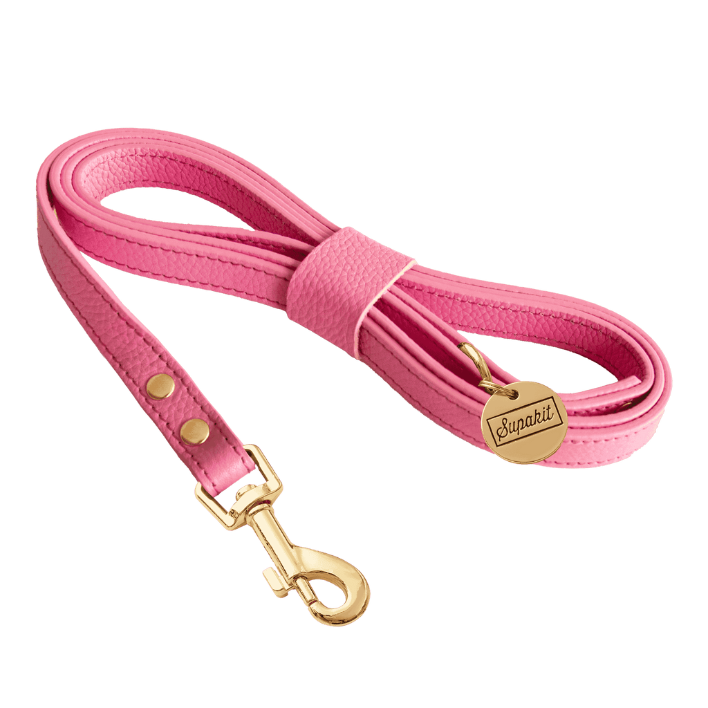 Cat Leash