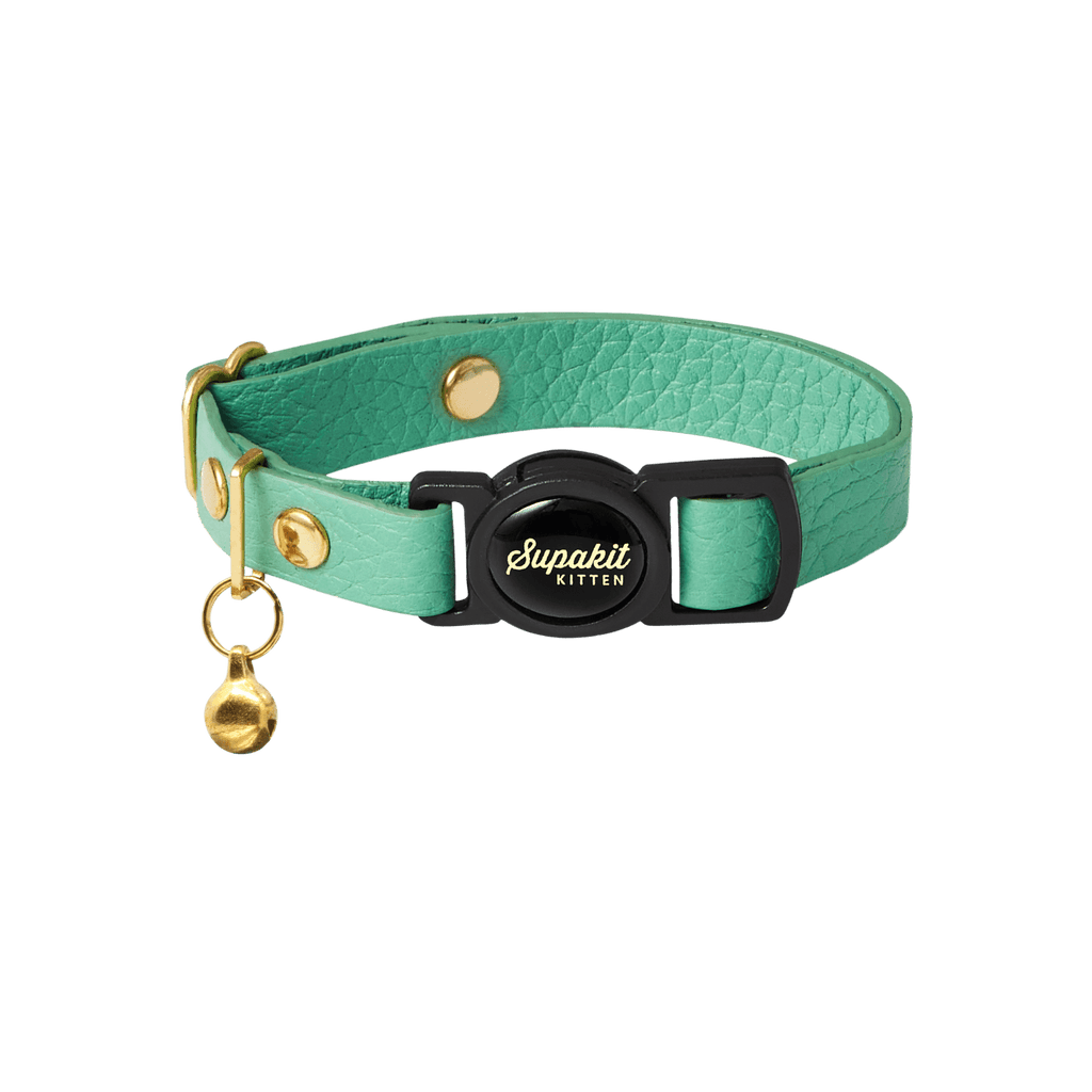 Breakaway Cat Collar