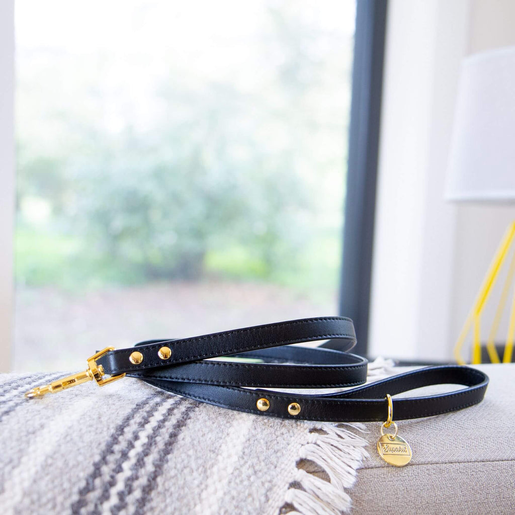 Cat Leash