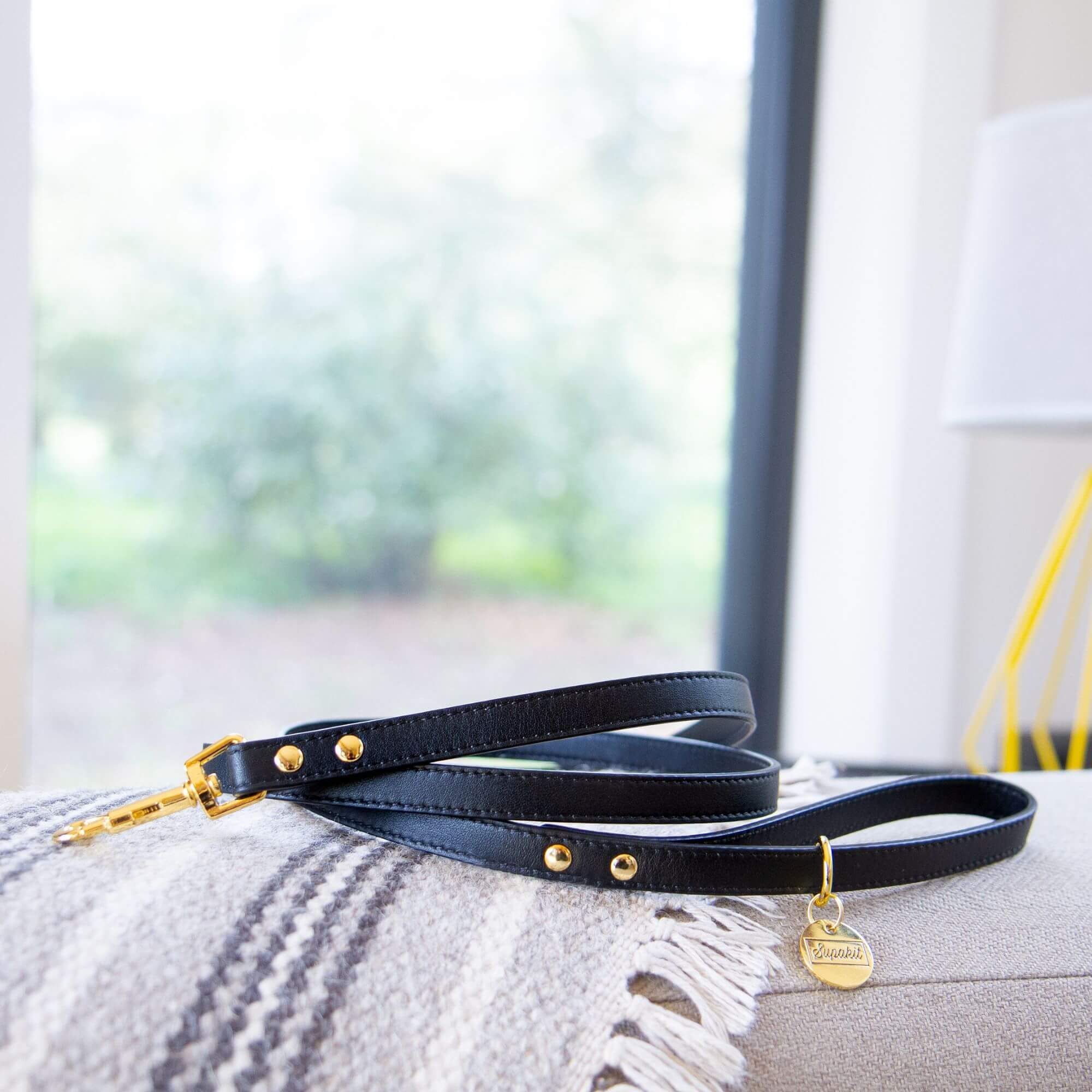 Cat Leash