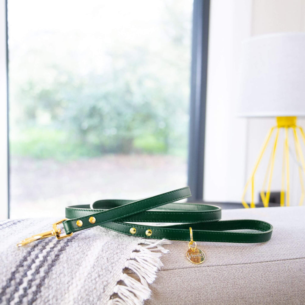 Cat Leash