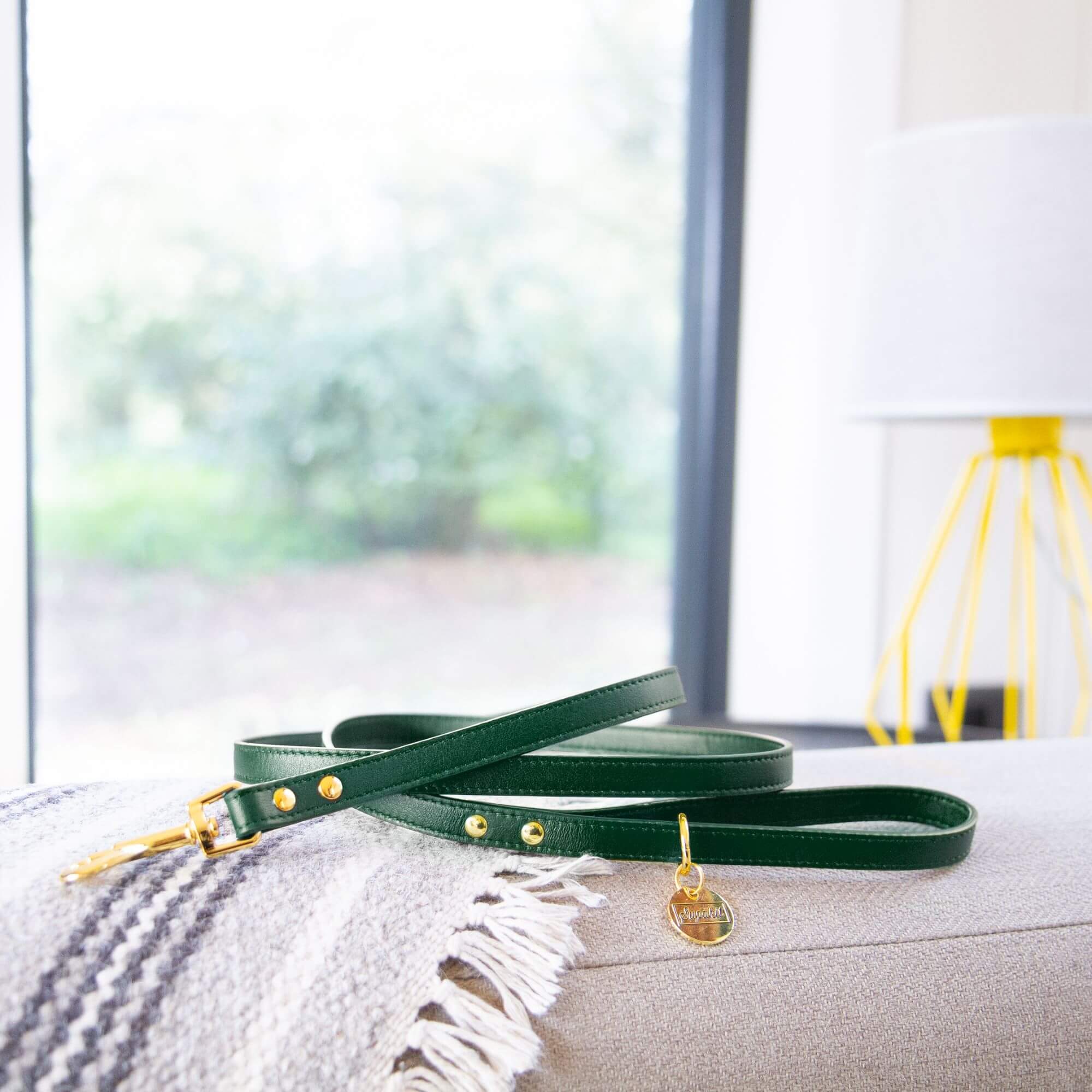 Cat Leash