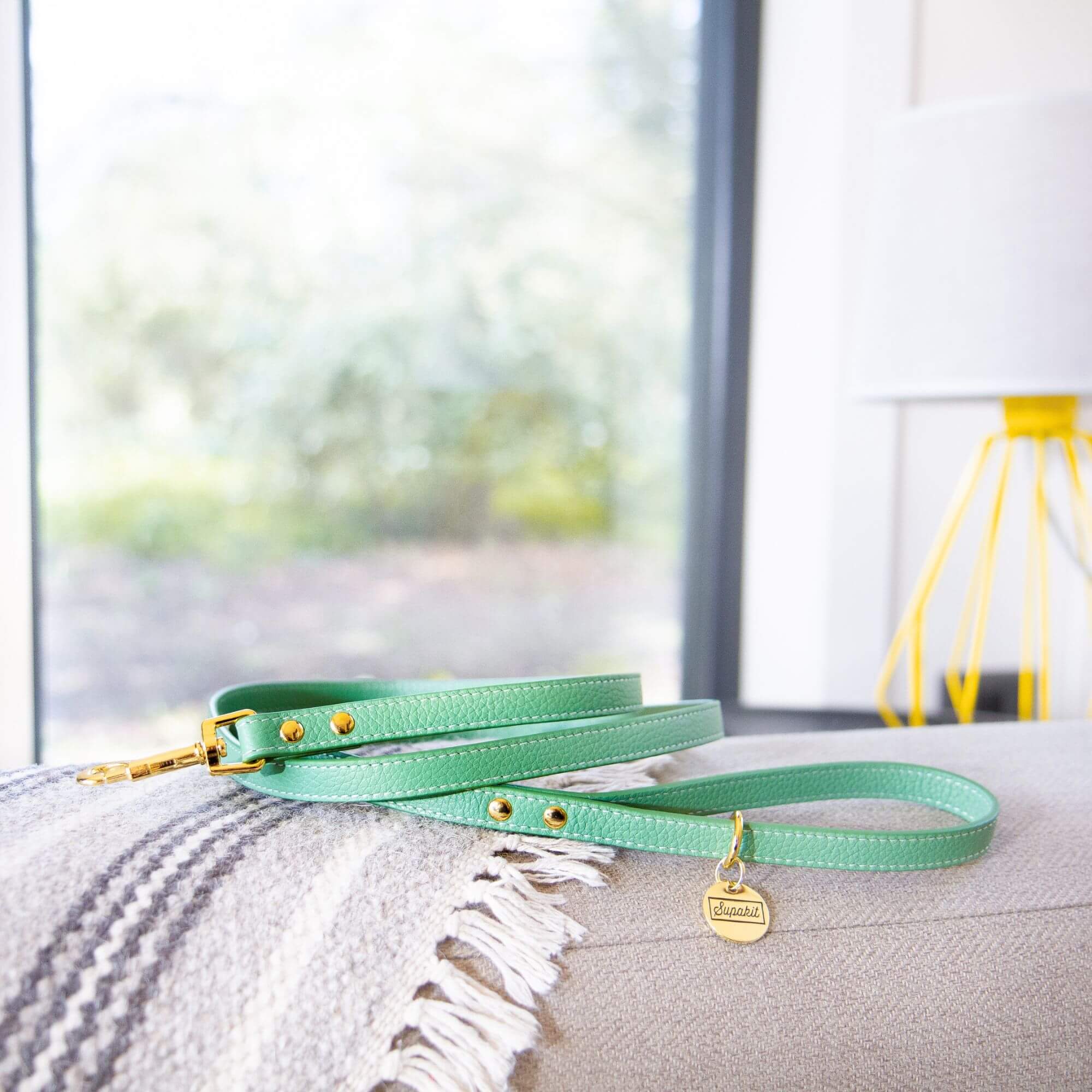 Cat Leash