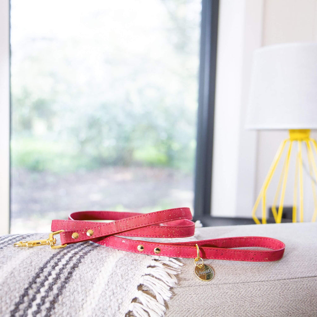 Cat Leash
