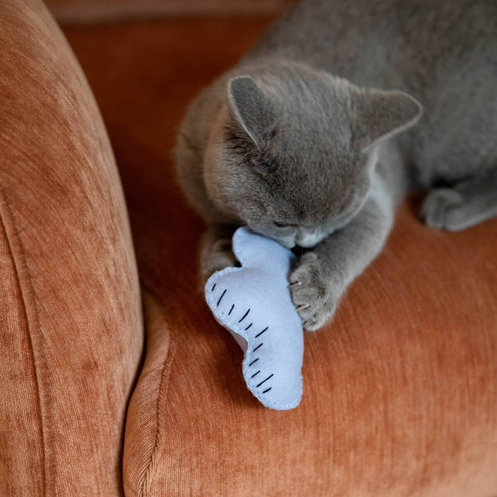 Make Your Own Cat Toys Kit