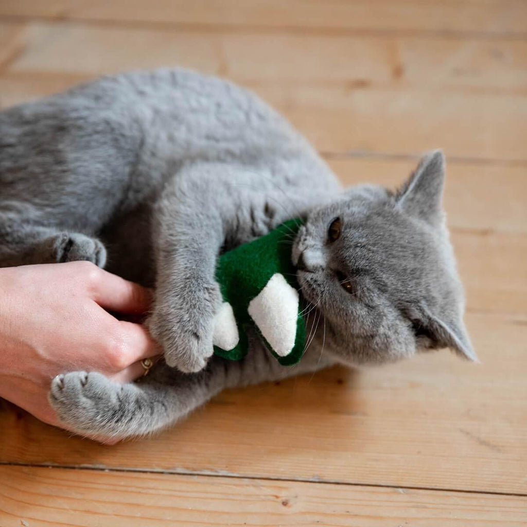 Make Your Own Cat Toys Kit